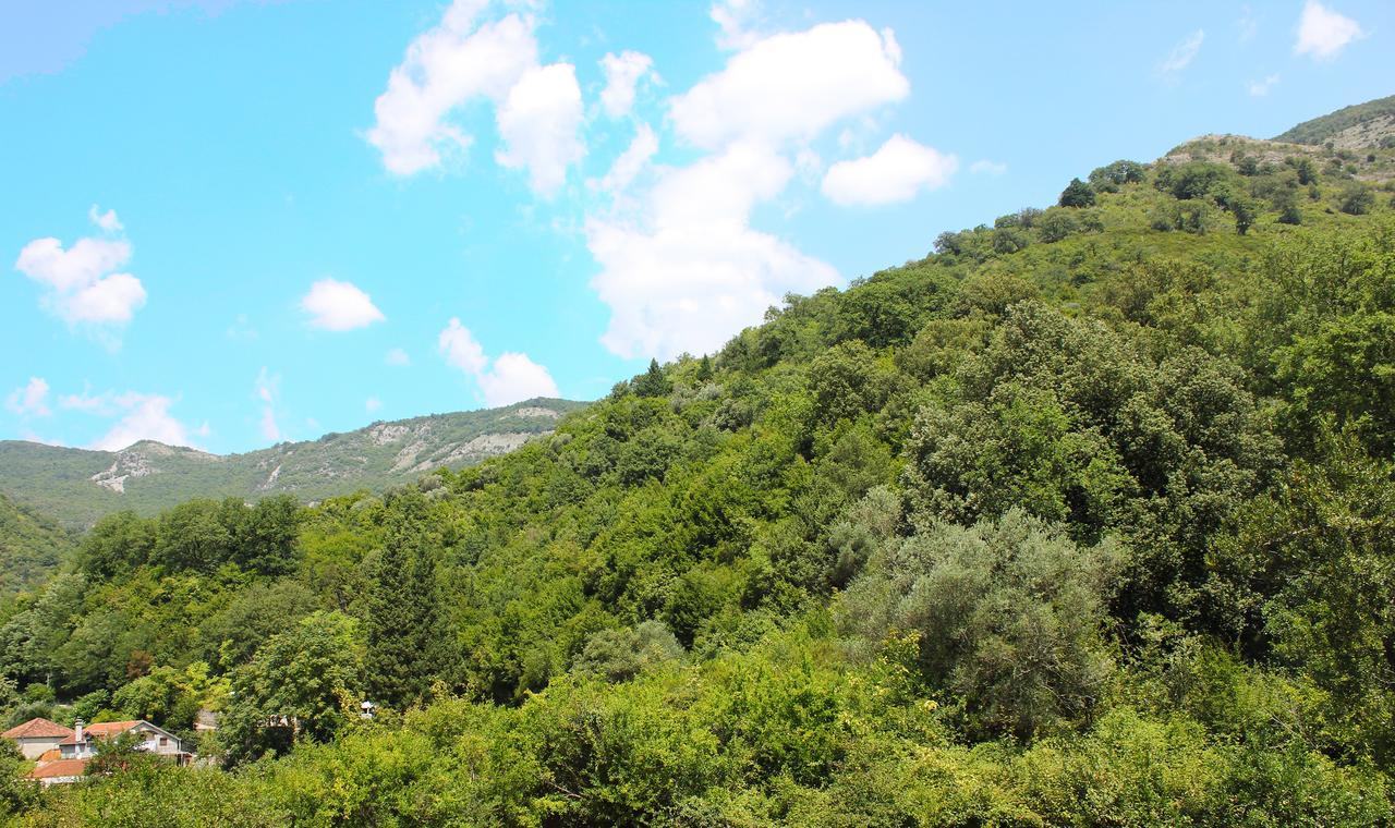 Apartment Bijelavista Herceg Novi Exteriör bild